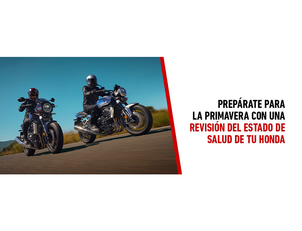 Revisión primavera Servihonda MLG